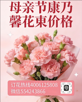 运城稷山县花店母亲节康乃馨花束